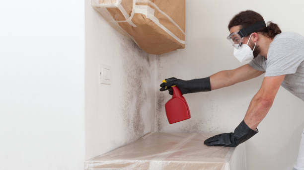 Professional Bathroom Mold Removal technician working in Fort Lee, NJ
