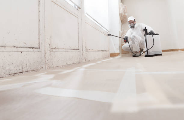 24/7 Emergency Bathroom Mold Removal experts in Fort Lee, NJ
