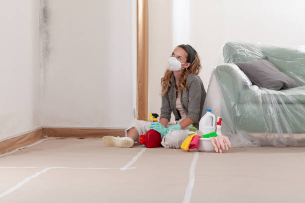 Reliable Bathroom Mold Removal contractor in Fort Lee, NJ by Mold Remediation HQ