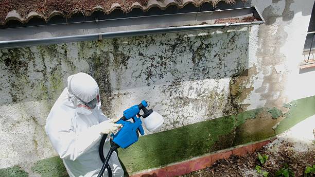 Top rated local Bathroom Mold Removal specialists in Fort Lee, NJ